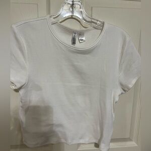 Divided Ribbed Round-neck Cropped Tee sz L NWOT